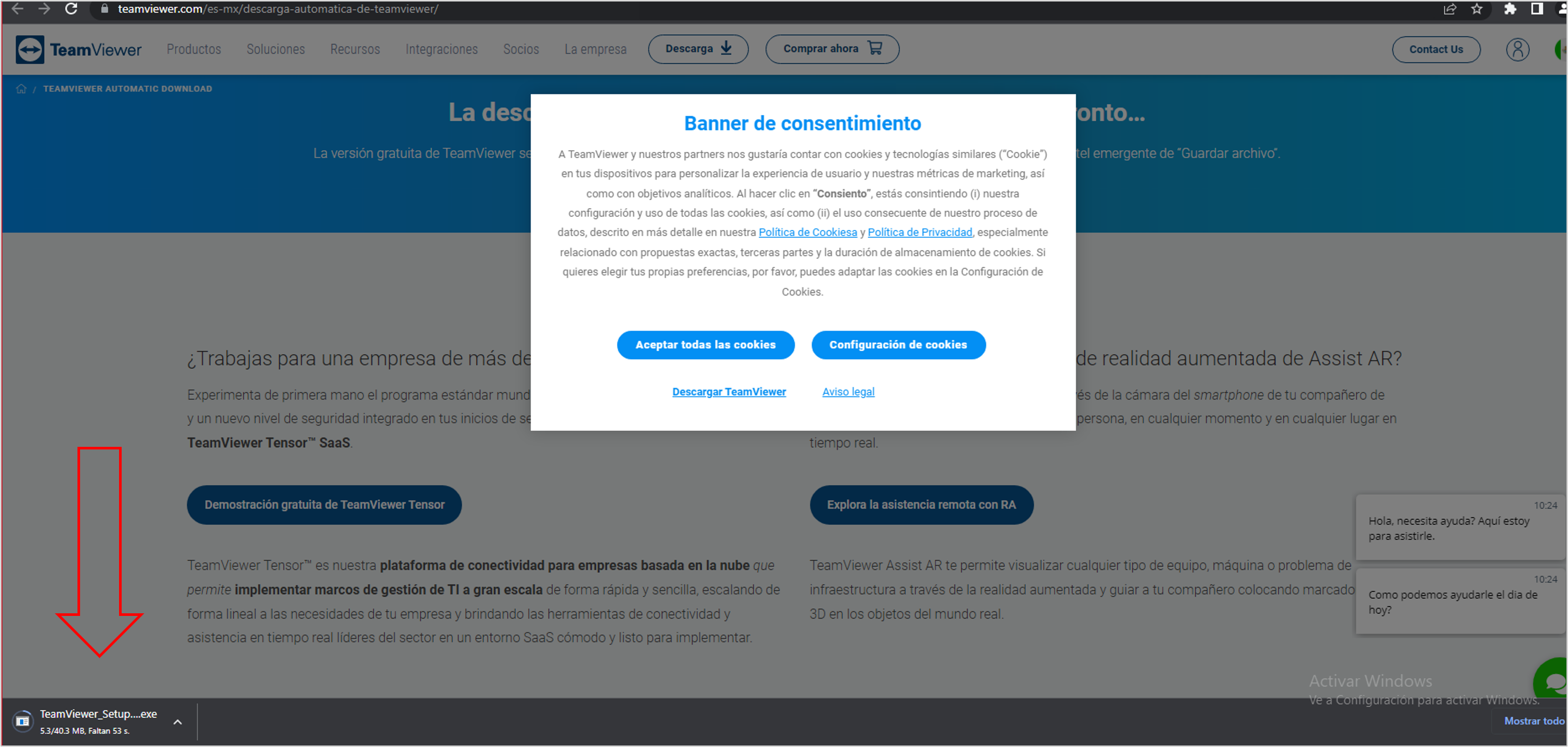 Auto download of TeamViewer