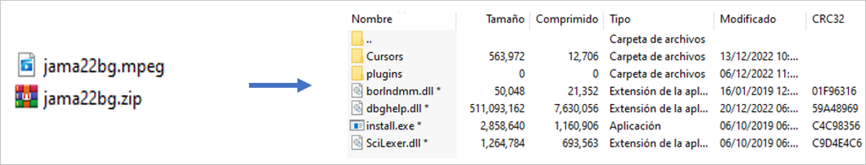 Content of the supposed video