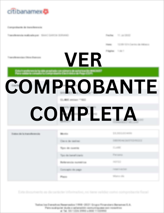 Figure 1. Visual appearance of the attached PDF file
